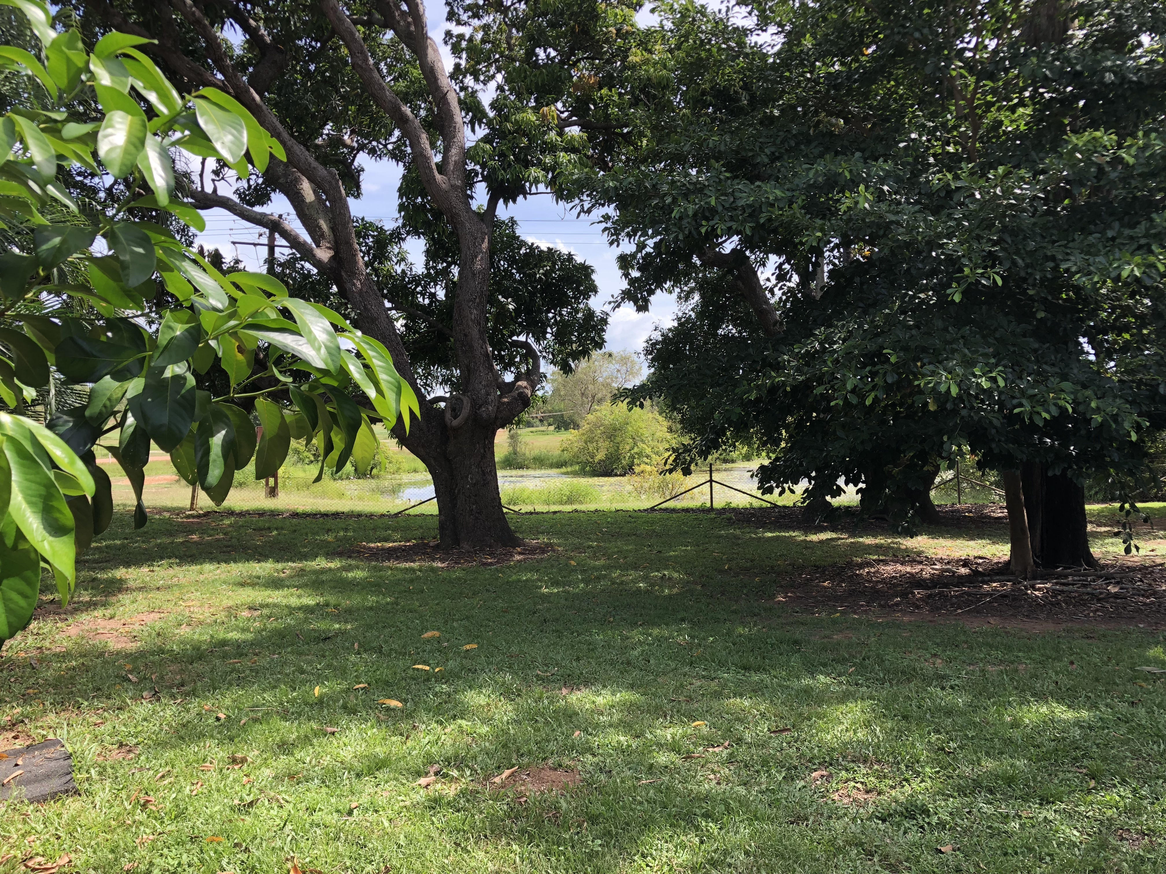 Mt Bundy Station has expansive shady gardens and Billabongs to enjoy