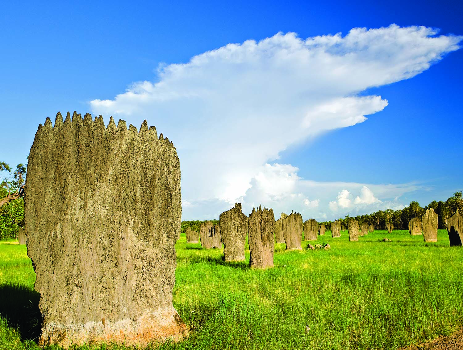 Litchfield National Park - Litchfield Regional Tourism Association