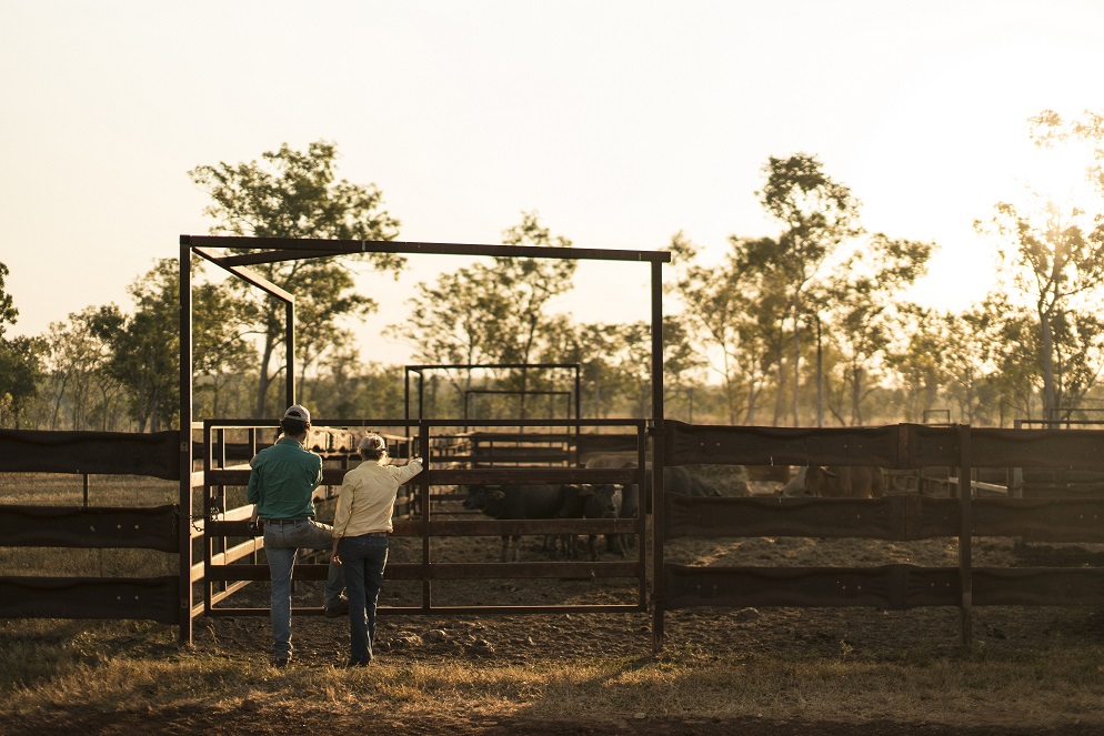 https://visitlitchfieldnt.com.au/wp-content/uploads/2019/12/At-the-Yards.jpg