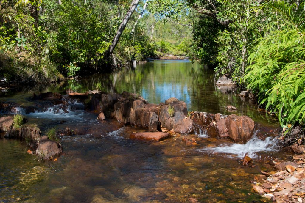 Walker Creek - Litchfield Regional Tourism Association