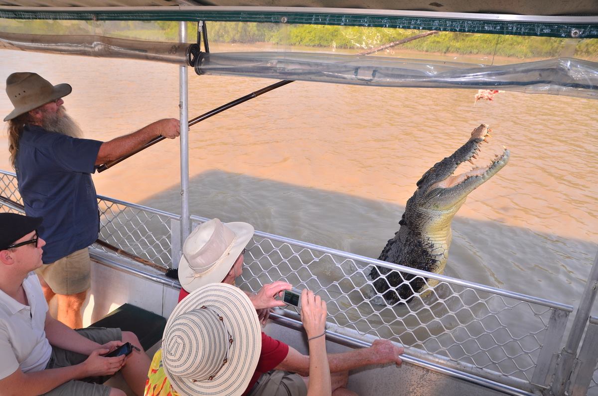All aboard for our private jumping crocodile cruise.
