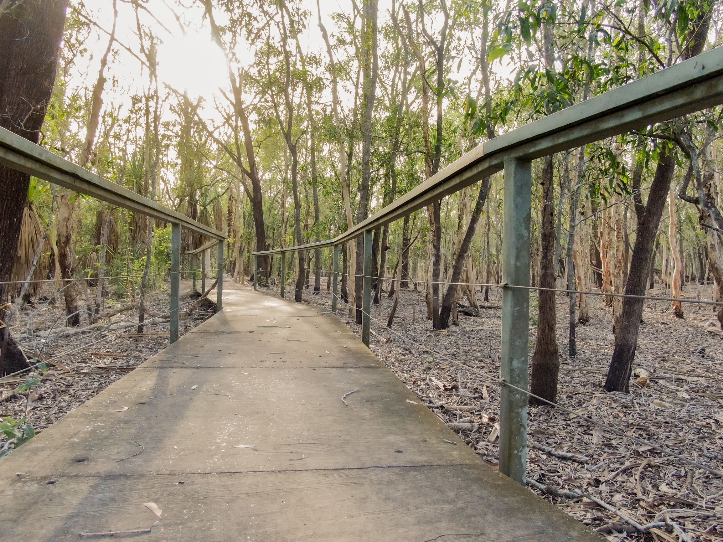 https://visitlitchfieldnt.com.au/wp-content/uploads/2020/10/boardwalk.jpg