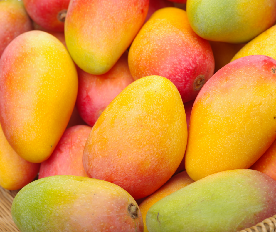 Tropical fruits include Mango - yum