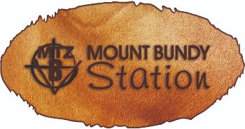 Logo_MT_BUNDY_6cm_300dpi_CMYK